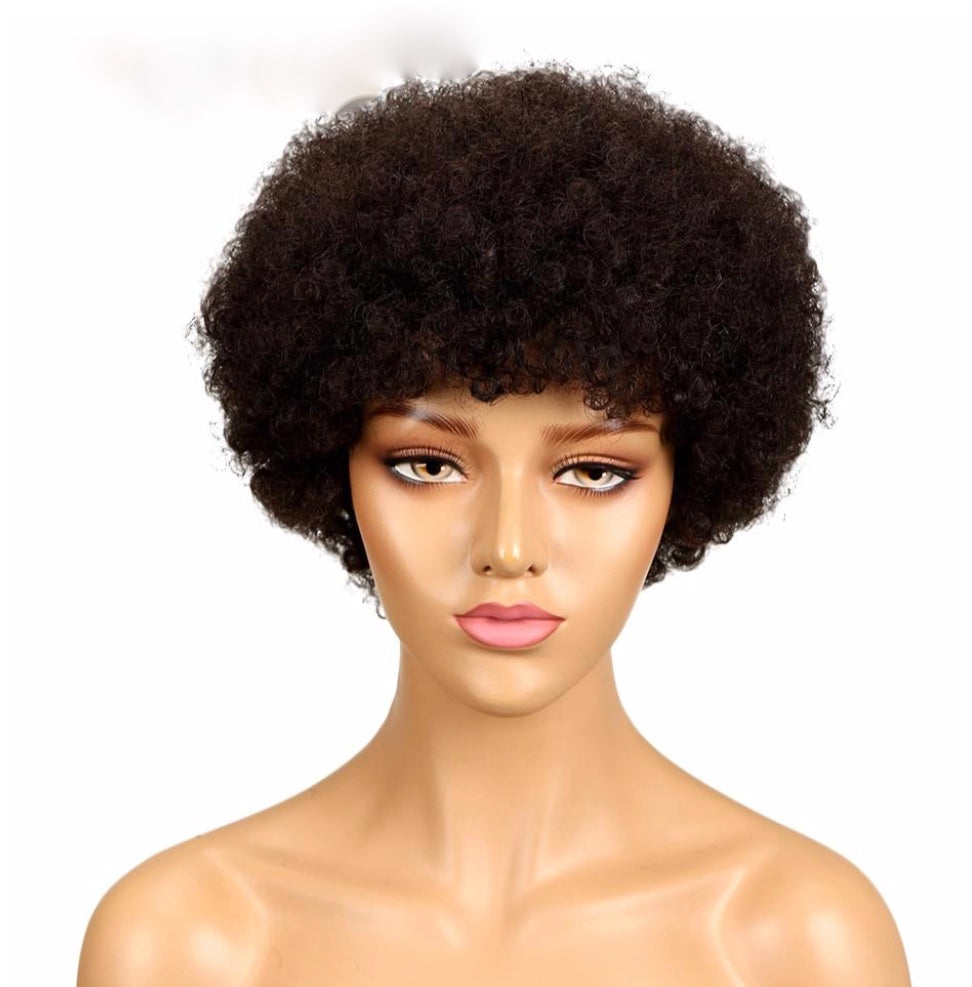 Godinhair Afro Short Brazilian Afro Kinky Curly Wig Color 2# Dark Brown